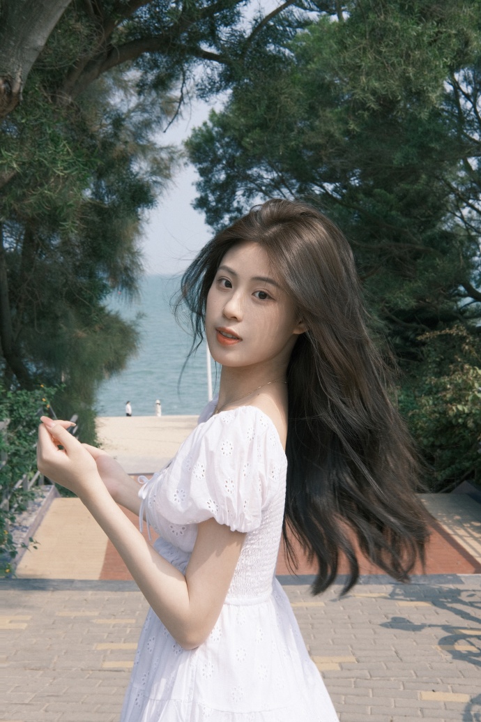 教父2